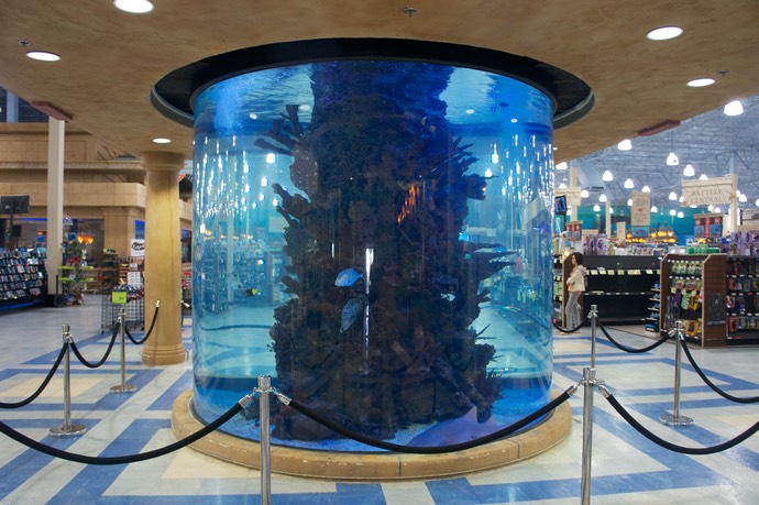 Aquarium in Fry’s