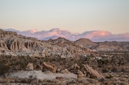 red-rock-mojave-4